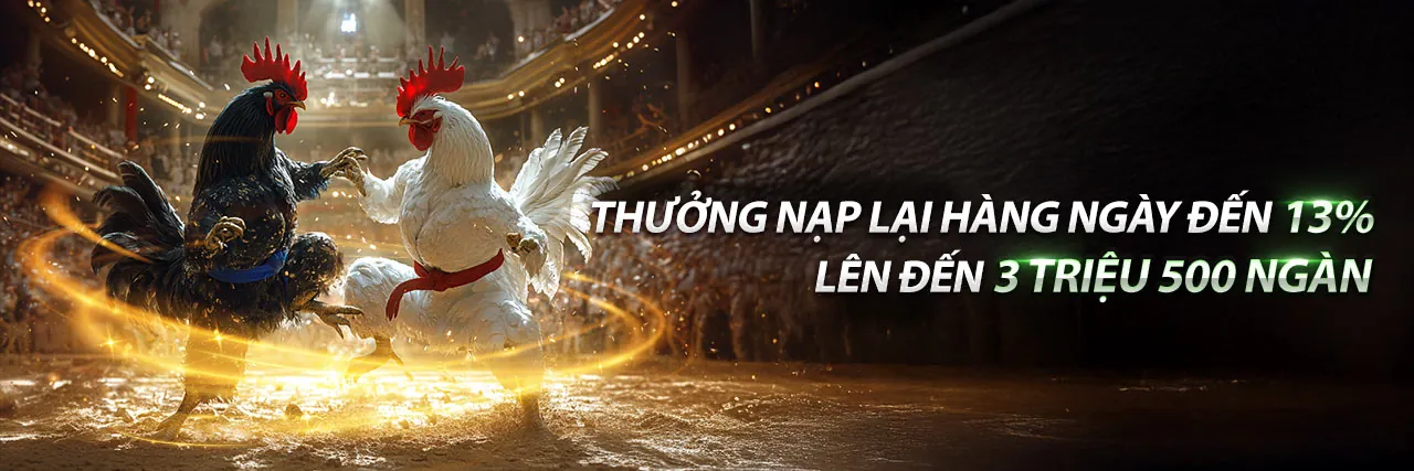 Đá Gà Cựa Dao Hấp Dẫn tại 888p Win